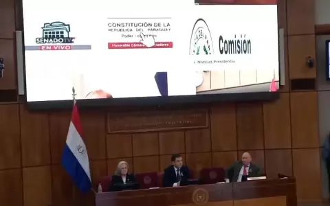 Presentan versi�n digital de la CN vinculada a leyes reglamentarias y la Constituyente