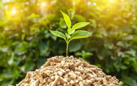 Entre los temas clave del foro estar�n la producci�n forestal sostenible, energ�a renovable e hidr�geno verde,