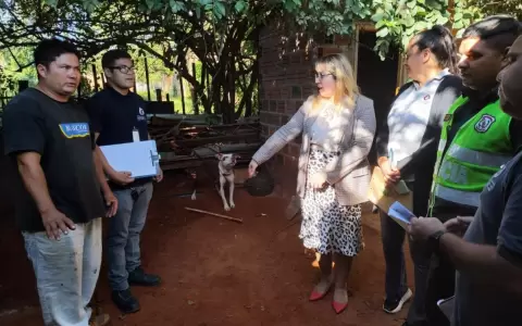 Fiscal�a interviene caso de pitbull que permanec�a atada y a la intemperie