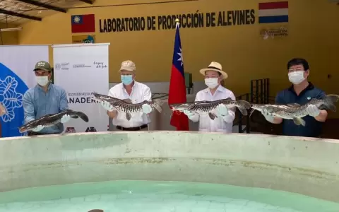 Fuerte repunte de producci�n de peces en estanque abarat� precios
