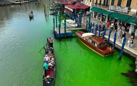 Fin del misterio: se supo qu� ti�� de verde el Gran Canal de Venecia