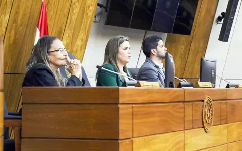 Frente parlamentario coincide en la necesidad de un abordaje integral de la salud mental