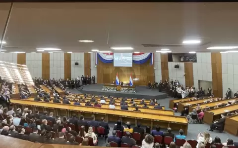 Juraron nuevos senadores ante la Constituci�n Nacional
