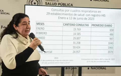 Consultas por cuadros respiratorios aumentaron un 25 % comparado con el a�o 2022