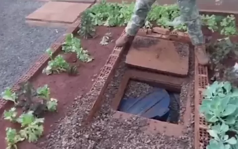 "Narcohuerta": Senad incauta gran cantidad de coca�na oculta en el jard�n de una vivienda