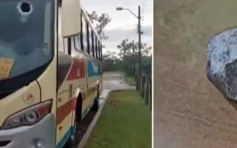 Piedra impact� contra un colectivo y pasajera perdi� la vida