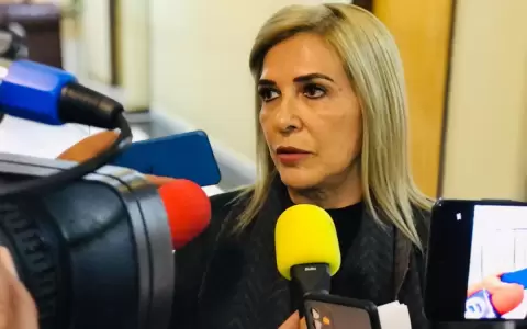 Hermelinda Alvarenga