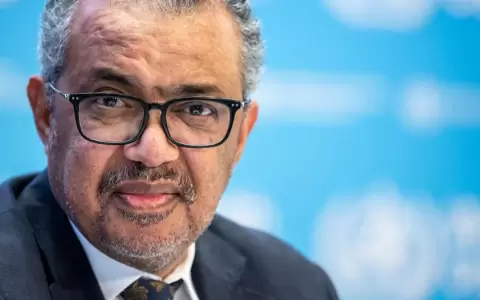 OMS crear� pasaporte de salud inspirado en modelo europeo