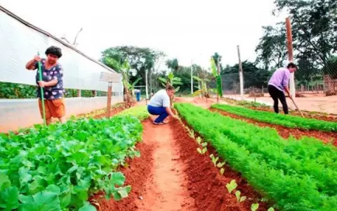 Crece la participaci�n femenina en la producci�n agropecuaria