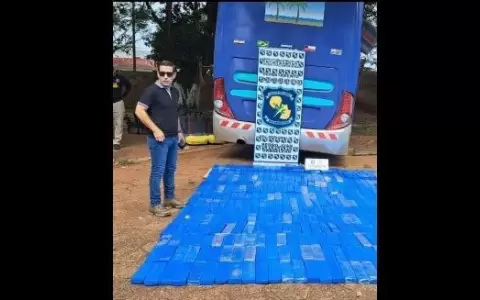 Incautan transporte de turismo con casi 500 kilos de marihuana en su interior