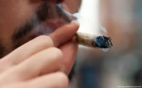 Fracasa la legalizaci�n del cannabis en Colombia