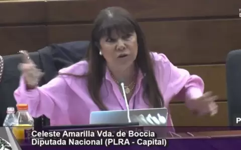 Opositores est�n dispuestos a negociar Mesa Directiva s�lo con Fuerza Republicana, dice Amarilla
