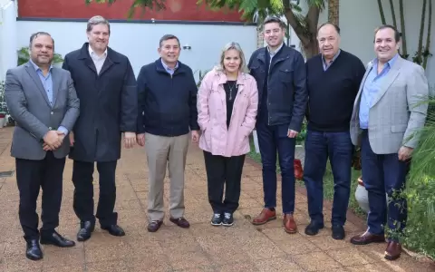 Buscando acuerdos, Bancada Colorada Independiente del Senado se reuni� con Alliana