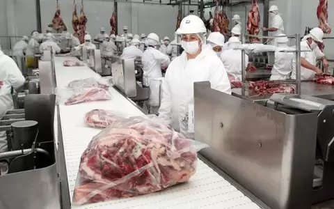 Gobierno de Abdo busca conseguir el ingreso de la carne paraguaya a EE. UU. antes de su salida