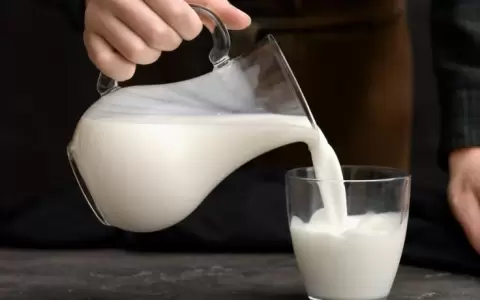 Hoy recuerdan el D�a Mundial de la Leche para impulsar una producci�n sustentable