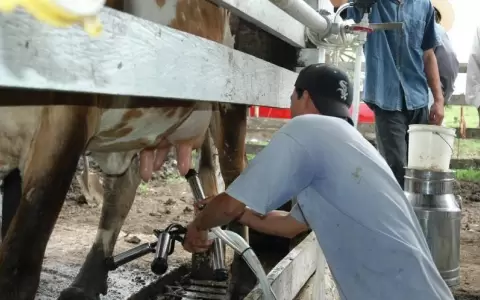 MIC propone exportar leche paraguaya a Taiw�n