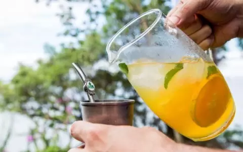 Presentan circuito tur�stico "Mbaracay� Yerba Mate Guataha"