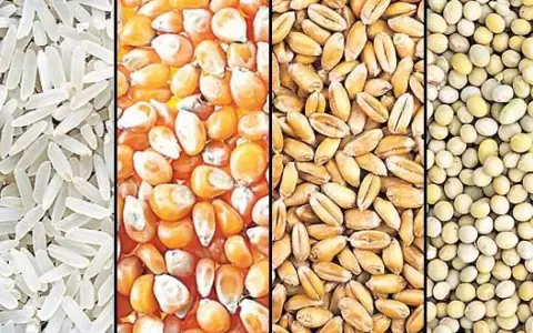 Exportaci�n de productos primarios creci� un 100 % en mayo
