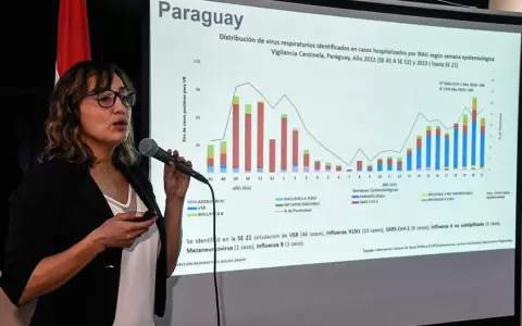 Virus sincitial respiratorio e influenza, causantes de mayor cantidad de internaciones