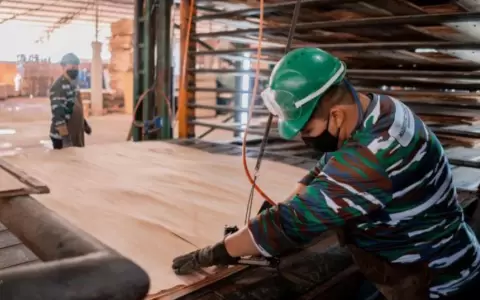 Fepama impulsa intercambio comercial y tecnol�gico de la madera con Misiones, Argentina
