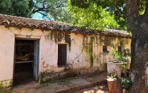 Paraguay podr�a perder siglos de historia sobre estudios de bot�nica a causa de la desidia