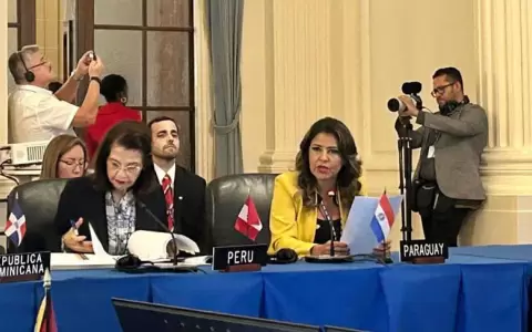 Paraguay reitera ante la OEA el compromiso con la defensa de la vida y protecci�n de la familia