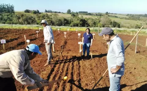BCP sostiene que Paraguay tiene una s�lida recuperaci�n pospandemia