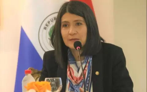 OEA: paraguaya dirigir� el Instituto Interamericano del Ni�o, la Ni�a y Adolescente