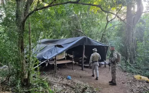 Senad elimin� m�s de diez toneladas de marihuana en reserva natural de Amambay
