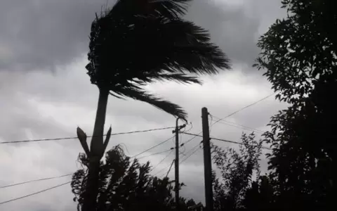 Alerta por r�fagas de viento durante la tarde de este viernes