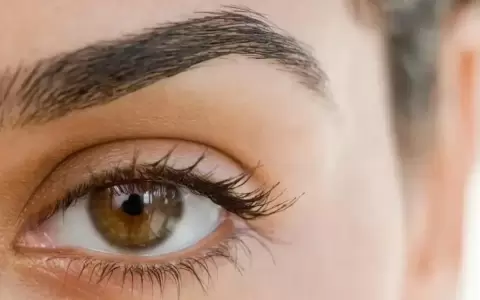 Trasplante de cejas: el cambio de tendencia que deriv� en un boom de cirug�as est�ticas