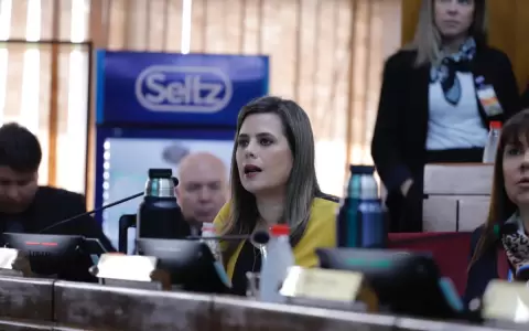Senadora dice que legisladores de Cruzada Nacional "estafaron al electorado"