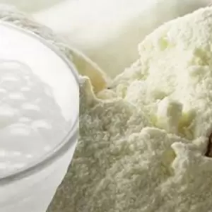 Paraguay: exportaciones l�cteas registran fuerte descenso, precios y d�lar presionan al sector