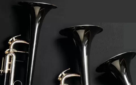 Conciertos en el Teatro Tom Jobim