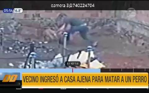 Detienen a hombre que asesin� de varias pu�aladas a un perro