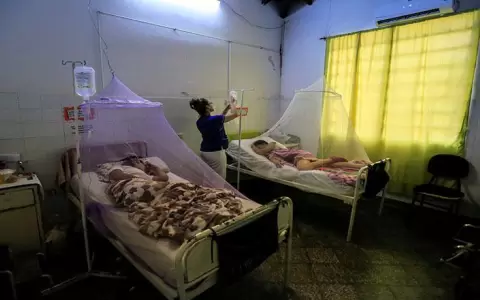 Profesional asegura que la chikungunya es un "disparador de enfermedades autoinmunes"