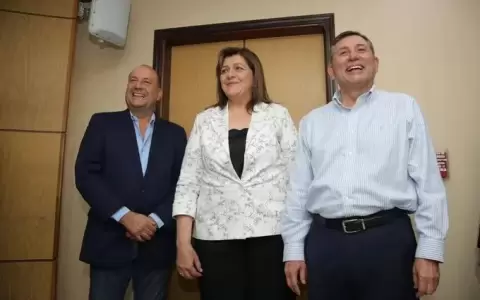 Colorados que no apoyaron al cartismo forman nueva bancada