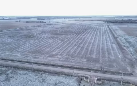 Heladas amenazan cultivos en el Chaco.