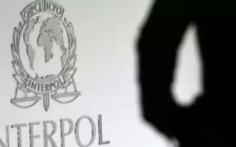 Interpol: m�s de 1.000 detenidos por tr�fico de migrantes