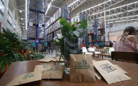 Paraguay empez� a exportar plantas medicinales en saquitos de t� a cinco pa�ses