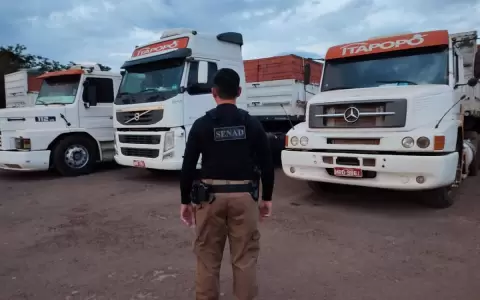 Allanamientos dejan hasta el momento 10 detenidos