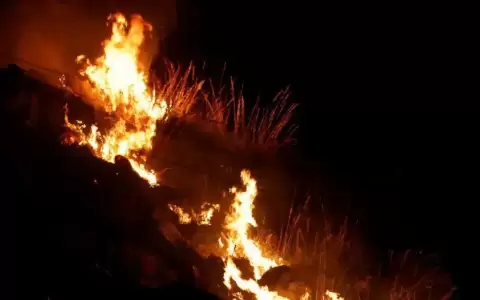 La cuenca del Mediterr�neo, escenario de violentos incendios