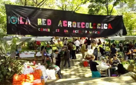 Red Agroecol�gica cumple 10 a�os de ofrecer productos sostenibles