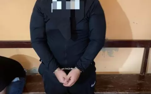 Caen dos miembros de la mafia italiana en San Pedro