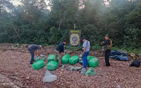 Detectan gran carga de droga lista para env�o en San Cosme y Dami�n