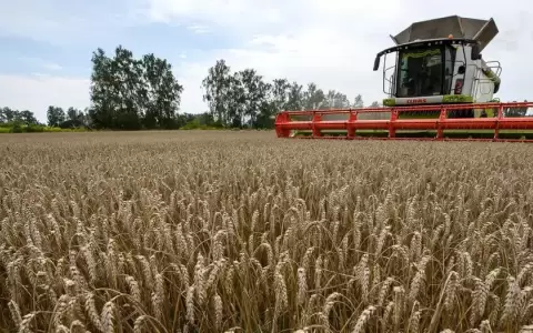 Rusia suspende acuerdo de exportaci�n de granos ucranianos