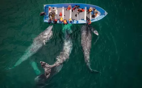 Impactante: Conoc� las mejores fotos a�reas premiadas en los Drone Photo Awards 2023