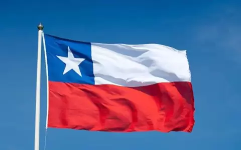 Chile: Comisi�n contra la Desinformaci�n preocupa a la SIP