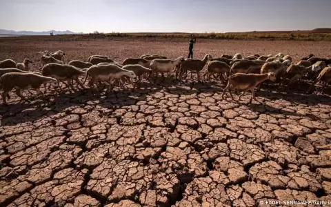 Comenz� el fen�meno El Ni�o a nivel global: alerta por calor extremo, sequ�as y otras alteraciones clim�ticas en 2023