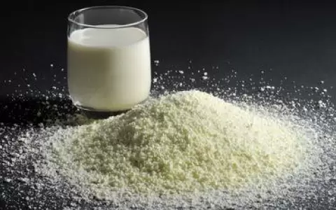 La leche en polvo paraguaya conquista nuevos horizontes